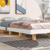 Queen Size Floating Bed with LED Lights Underneath,Modern Queen Size Low Profile Platform Bed with LED Lights,White