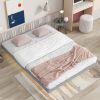 Queen Size Floating Bed with LED Lights Underneath,Modern Queen Size Low Profile Platform Bed with LED Lights,Grey