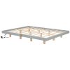 Queen Size Floating Bed with LED Lights Underneath,Modern Queen Size Low Profile Platform Bed with LED Lights,Grey